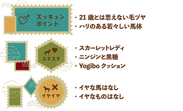 05京成杯を制したディープインパクトのライバルは、TVCMで一世を風靡するタレント馬に|アドマイヤジャパンの画像5