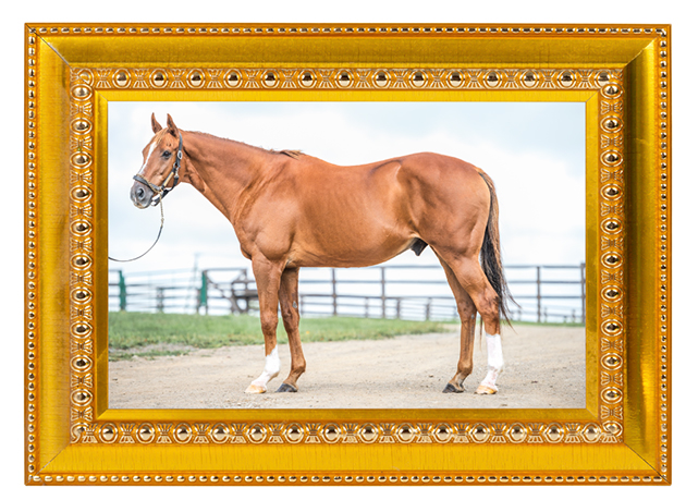 05京成杯を制したディープインパクトのライバルは、TVCMで一世を風靡するタレント馬に|アドマイヤジャパンの画像6