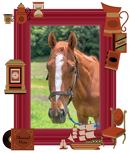 15AJCCを制した長距離レースの常連は、ご飯ちょうだいアピールの激しい大食い馬に｜クリールカイザーの画像3