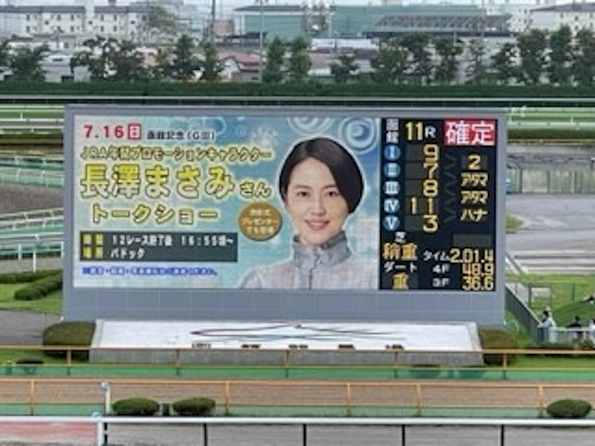 JRA「20勝馬」はハイセイコー、タケホープも退けるオープン大将!? 有馬記念でトウショウボーイ、テンポイントを相手に善戦【東大式必勝馬券予想】の画像2