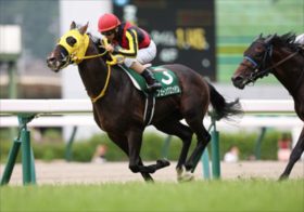 【七夕賞】ツインターボの再来？西山オーナー期待のセイウンハーデスに勝機。4連勝中バトルボーン鞍上はルメールから“福島マスター”津村で福島重賞コンプリートか…