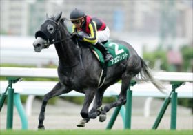 「アイビスSDを買うくらいなら、その資金を全額クイーンSにぶち込め！」現地札幌から届いた100万馬券級の勝負馬