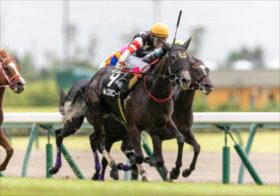 リバティアイランドのライバルが復権を懸けJRAクイーンSで武豊騎手と始動。ディープインパクト産駒最後の希望に勝機は？