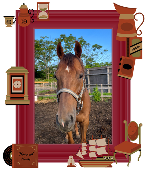 22京都金杯を制したトーセンラーの代表産駒は、クール×アザトイ、ツンデレイケメンに!?|ザダルの画像3