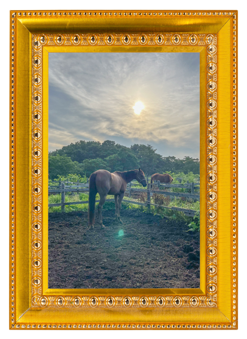 22京都金杯を制したトーセンラーの代表産駒は、クール×アザトイ、ツンデレイケメンに!?|ザダルの画像8