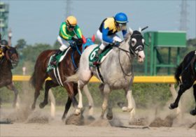 「8月のJRAは無法地帯になる」関係者が恐れる現場の大混乱。レパードS、エルムS、そして札幌記念に早くも怪情報が…