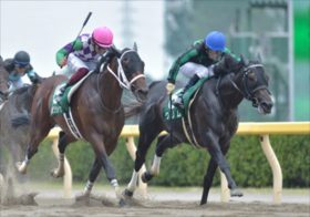 JRAレパードSでミックファイアを倒せるレベルの馬が!?10年連続アイビスSD的中のレジェンドが注目の爆弾発言！