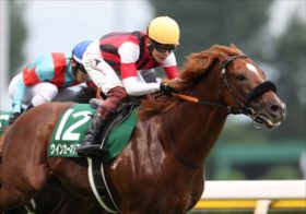「関屋記念を制する馬がサマーマイルシリーズを制する」。夏のマイル王を決める大一番に大魔神の良血ディヴィーナ、快速セルバーグらが集結！