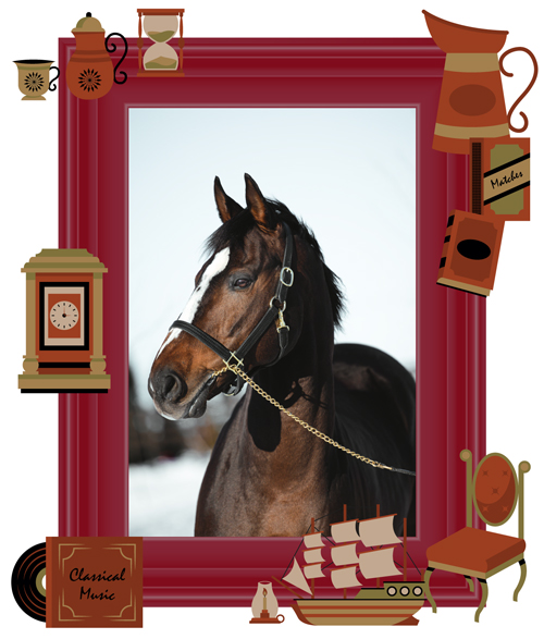 障害G1で9勝を挙げた絶対王者の、メンコの下の素顔に迫る！｜オジュウチョウサンの画像3