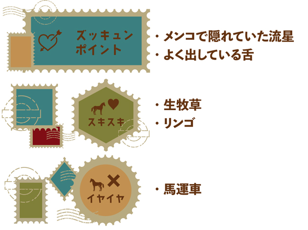 障害G1で9勝を挙げた絶対王者の、メンコの下の素顔に迫る！｜オジュウチョウサンの画像5