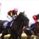 関屋記念(G3)「ゴルシの許嫁」が主戦と初タッグ! 一昨年の覇者ロータスランドが夏の新潟で復活を期す