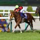 札幌記念(G2)は「自信マシマシ」で勝負!ジャックドールは大丈夫? 逃げられると追いかけたくなる~恋愛みたいですね♡【UMAJOモモのオイシイ競馬】