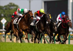 武豊キタサンブラックも泣いた「大誤算」から7年…連覇狙うジャックドールが「昨年とはまったく違う」理由