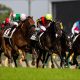 札幌記念(G2)は「自信マシマシ」で勝負!ジャックドールは大丈夫? 逃げられると追いかけたくなる~恋愛みたいですね♡【UMAJOモモのオイシイ競馬】