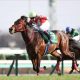 キーンランドC（G3）素直にナムラクレアでOK！ やっぱり夏は牝馬…強敵ぞろいだけど経験値が違います！【UMAJOモモのオイシイ競馬】