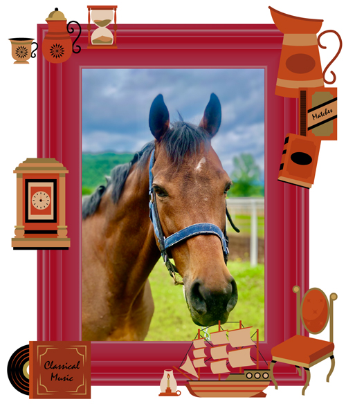 10ニュージーランドTを制したマイラーは、砂遊びが大好きな愛されキャラに！｜サンライズプリンスの画像3