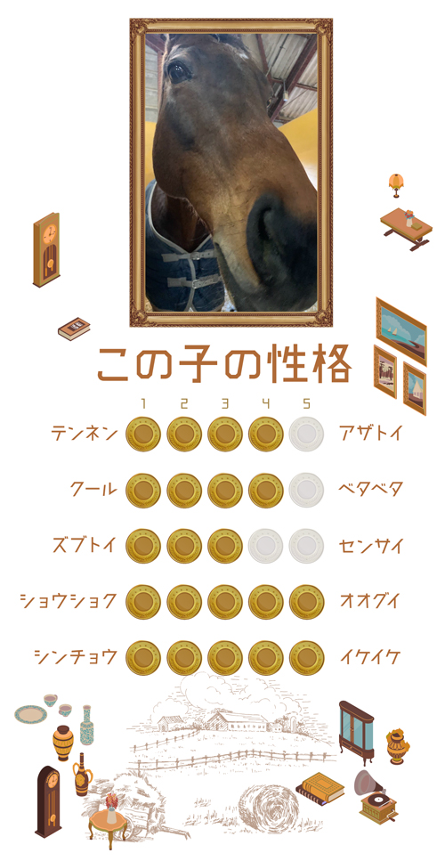 10ニュージーランドTを制したマイラーは、砂遊びが大好きな愛されキャラに！｜サンライズプリンスの画像4