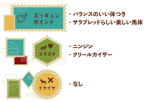 10ニュージーランドTを制したマイラーは、砂遊びが大好きな愛されキャラに！｜サンライズプリンスの画像5