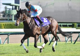 【セントウルS】ピクシーナイト×戸崎圭太の再コンビに疑問の声？音無厩舎とも相性ゼロで現場に燻る不安