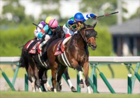 “社台の匠”が語る新潟記念ノッキングポイント×ユーキャンスマイル×インプレスの激走裏事情。セントウルSはアグリ、ピクシーナイト陣営の本音を緊急公開！