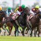 キャットファイトが稍重で「5馬身差」レコードの衝撃走! これほど強い馬を負かした相手の評価が再上昇