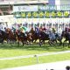 武豊「仮想」凱旋門賞の実現に可能性?ゼロとはいえないジャパンC参戦…ドリームレースの実現はC.デムーロがカギ