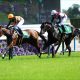 【シリウスS(G3)予想】人気サイドは押さえたものの、三冠馬に食らいついた唯一の3歳馬に期待
