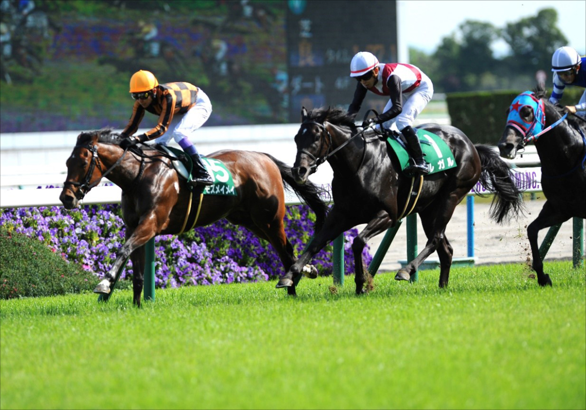 ダイタクヤマト 00年 スプリンターズS 16番人気 的中単勝馬券　全頭セット ダイタクヤマト 00年 スプリンターズS 16番人気 的中単勝馬券 全