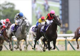 【毎日王冠】王者セリフォス不安、ソングライン不在でマイル路線はカオス。横山典弘×ジャスティンカフェと重なる名馬カンパニーの面影。マイルCS勝利への布石か…