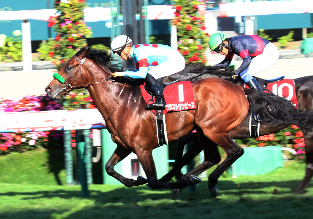 武豊参戦で注目度アップ!キセキ、ブラストワンピース、フィエールマン、エネイブルほか2019凱旋門賞出走予定馬と馬券購入方法の画像2