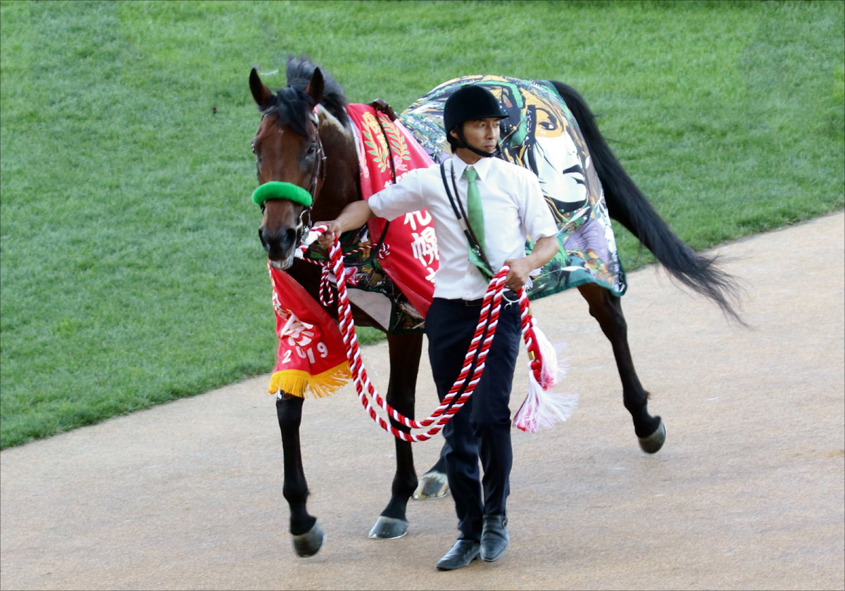 JRAサリオス、グランアレグリアに待ち受ける「52戦0勝」の鬼門とは……。 大阪杯（G1）コントレイル優勢を後押しするジンクスの画像2