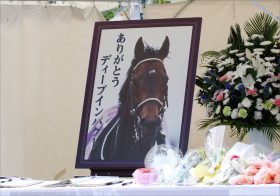 JRAディープインパクト国内「最後の産駒」誕生！母親はあの「おてんば娘」