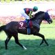 JRA天皇賞・春(G1)横山典弘「3度」の伝説! 待望ゴールドシップ、口笛7馬身イングランディーレ、下剋上サクラローレル