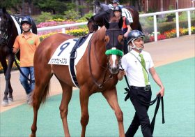 JRAフローラS（G2） ホウオウピースフル「距離延長」大歓迎！ 陣営が語る偉大な兄ブラストワンピースとの「違い」とは