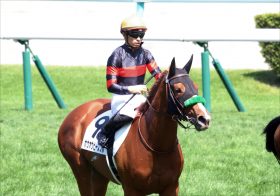 JRAクイーンC（G3）ホウオウピースフル、近年“爆買い”で注目の「小笹芳央オーナー」に初重賞制覇を届けられるか