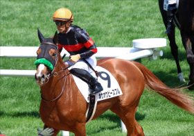 JRAクイーンC（G3）「強力現場ネタ」を駆使！荒れにくいレースは「ヒモ荒れ」狙いで3連単勝負！