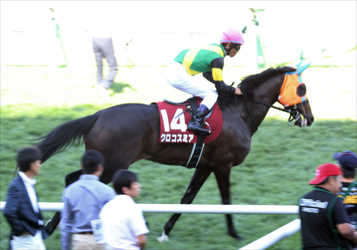 JRAエリザベス女王杯(G1)は「至極の三連単」で余裕!? 有力「現場ネタ」から「オイシイ好配当」を狙い撃ち!!の画像2