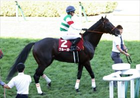 JRA 安田記念（G1）渡辺麻友の芸能界引退「激烈サイン」で落着!? “まゆゆ馬券”で「みんなの視線をいただき」なネ申展開に期待？