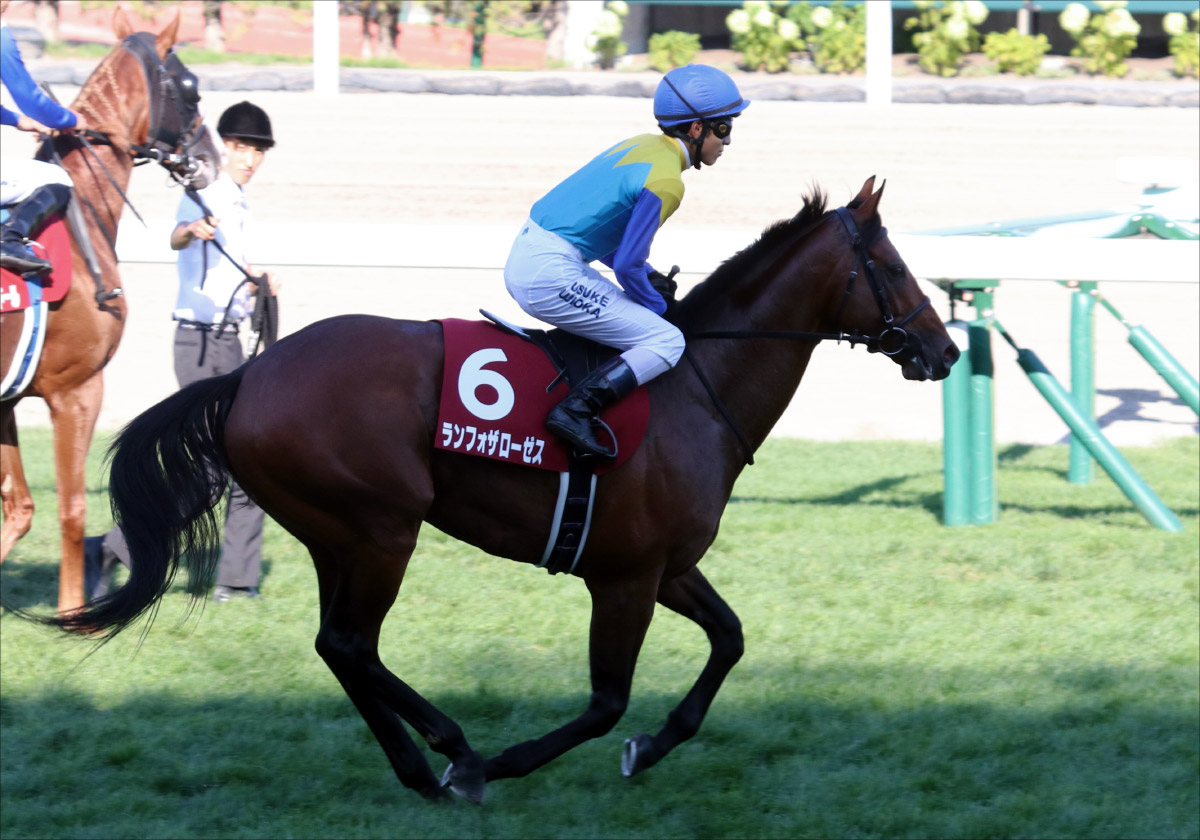 【毎日王冠（G2）展望】JRA安田記念覇者インディチャンプ始動！「マイル中距離の猛者」が集結!!の画像5