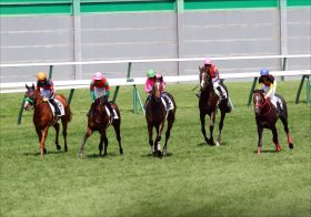 マンハッタンカフェの血が騒ぐ？菊候補を狙うマイラー