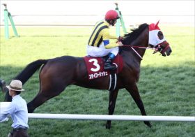 JRAルメールでステイフーリッシュ復活!?　AJCC（G2）で忘れたころに……はあるか