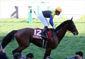 JRA【ジャパンC（G1）展望】本命ワグネリアンが川田将雅と新コンビ！ レイデオロ×ビュイック、スワーヴリチャード×マーフィー今年は「騎手」の世界戦！