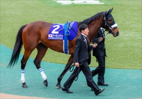 「空気を読めない」投票結果に非難轟々!? 昨年のアーモンドアイに続きコントレイルも落選、対象外ステイゴールドに投票した記者とファンの間に温度差