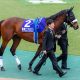 JRA「幻の3強」ラッキーライラックを超えた打倒アーモンドアイ筆頭。無念の引退から2年……今もファンから惜しむ声