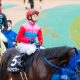 【JRA2020ジョッキー!ニュースTOP5】川田将雅悲喜こもごも、武豊過去10年最多勝利、横山典弘の天才っぷりに翻弄!? 低迷デムーロ復活の鍵は? JRAレジェンドがSNSで活躍