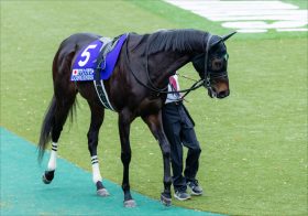 JRAデアリングタクトに「早熟説」急浮上!? 最低人気馬に不覚を取った金鯱賞（G2）、父エピファネイアもぶつかった「物足りなさ」の壁