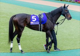 JRAデアリングタクト有馬記念（G1）回避も、あの馬が話題を独占！ チャンピオンズCも「元々使う予定」…… 世紀の一戦さえまさかの調教替わり？
