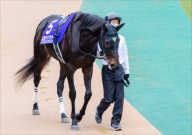 JRAまるでG1・金鯱賞（G2）でドリームマッチ「再現」!? 大阪杯ではなく、スーパーG2に主要メンバー集結の理由