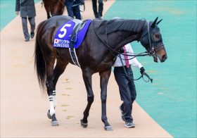 デアリングタクトの「ウマ娘化」に衝撃、次の候補は？