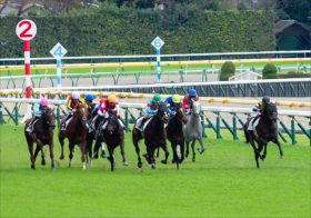 「圧倒的じゃないか…」関西馬が驚異の10戦8勝！　JRA新潟未勝利は関西馬の独壇場が続く？　今週の狙いは川田＆福永、そして…あの1億円馬！